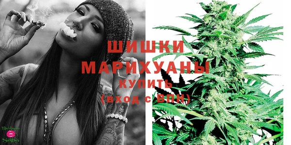 тгк Бородино