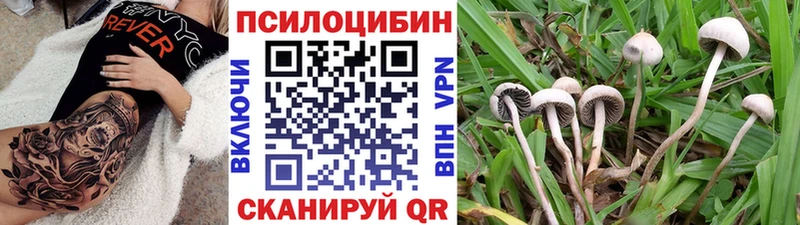Галлюциногенные грибы GOLDEN TEACHER  Купить  Пласт 